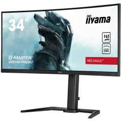 iiyama 34" G-MASTER B5